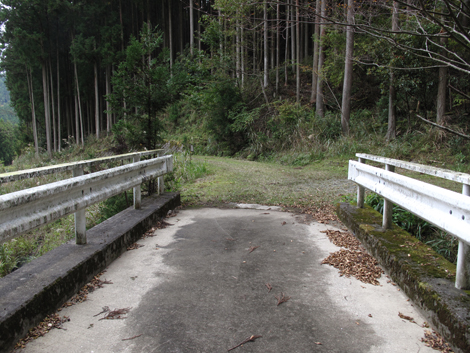 20141108hike (109)